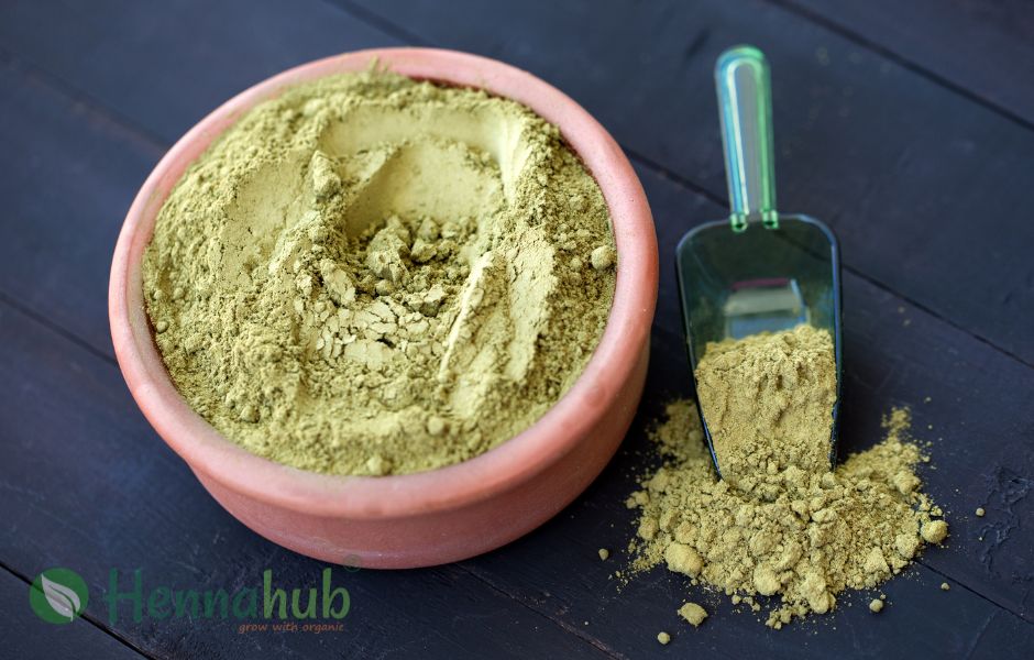 best natural henna powder in india