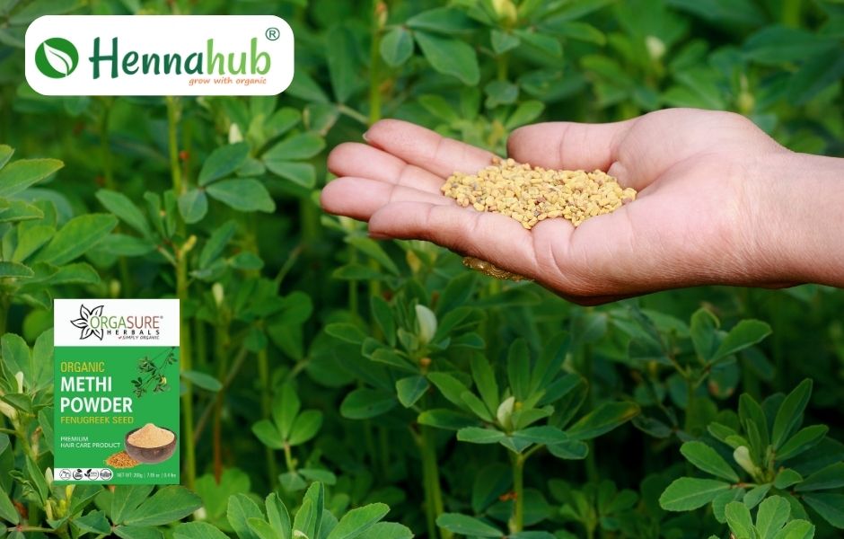 methi powder for haircare