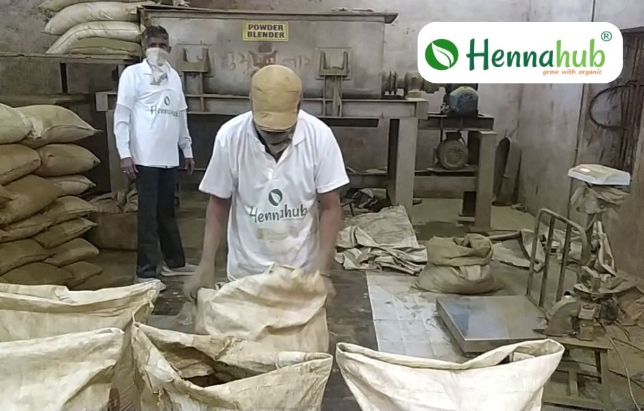 Buying Henna Powder Directly from Manufacturers