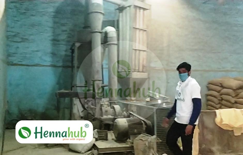 Complete Henna Powder Production Process