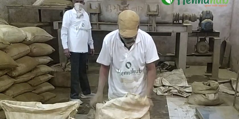 HennaHub India: A Legacy of Quality Henna Powder Exporter