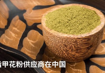 The Leading Supplier of Organic Henna Powder in China