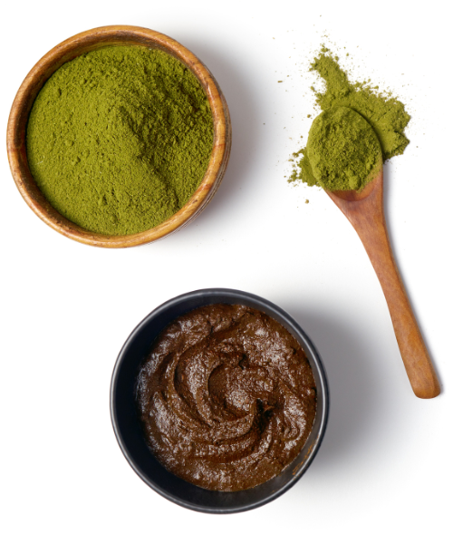 Best Henna powder Brand in India Hennahub India