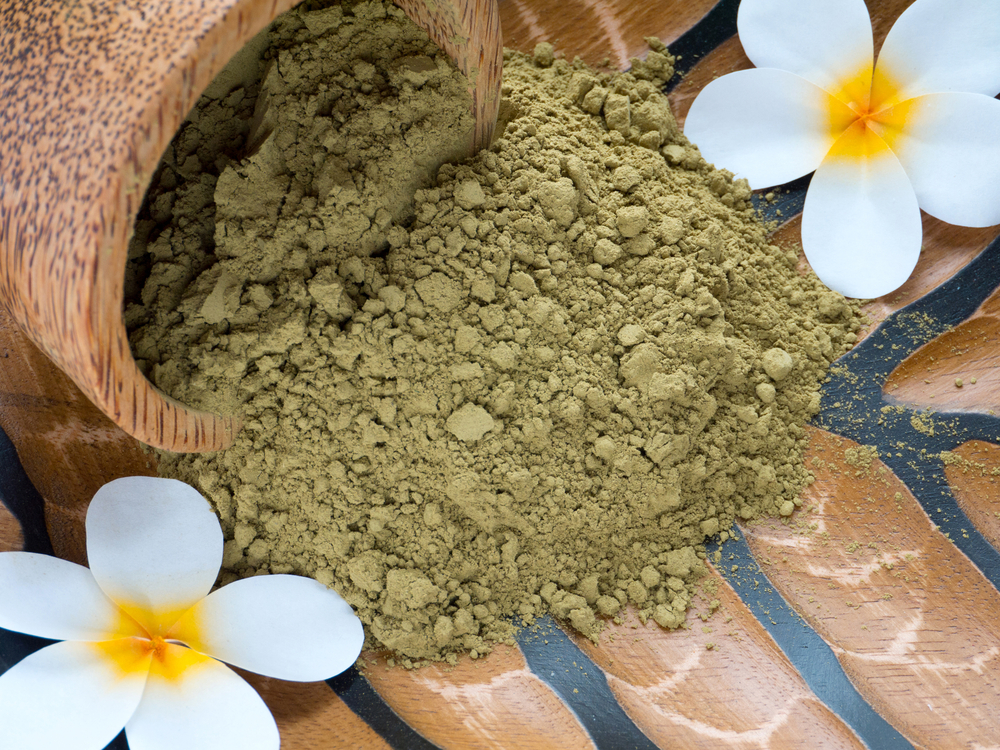 Best Henna powder bulk sellers in india Hennahub India