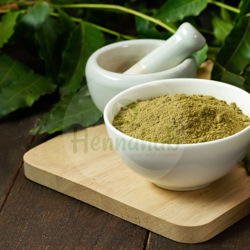 Organic Neem powder trading company in india Organic Neem powder trading company in india