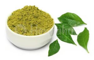 Top Organic Henna powder Suppliers in Jordan