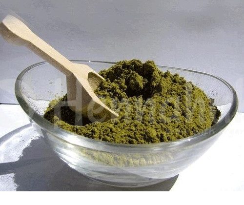Top Henna Powder Trading Company in Chile