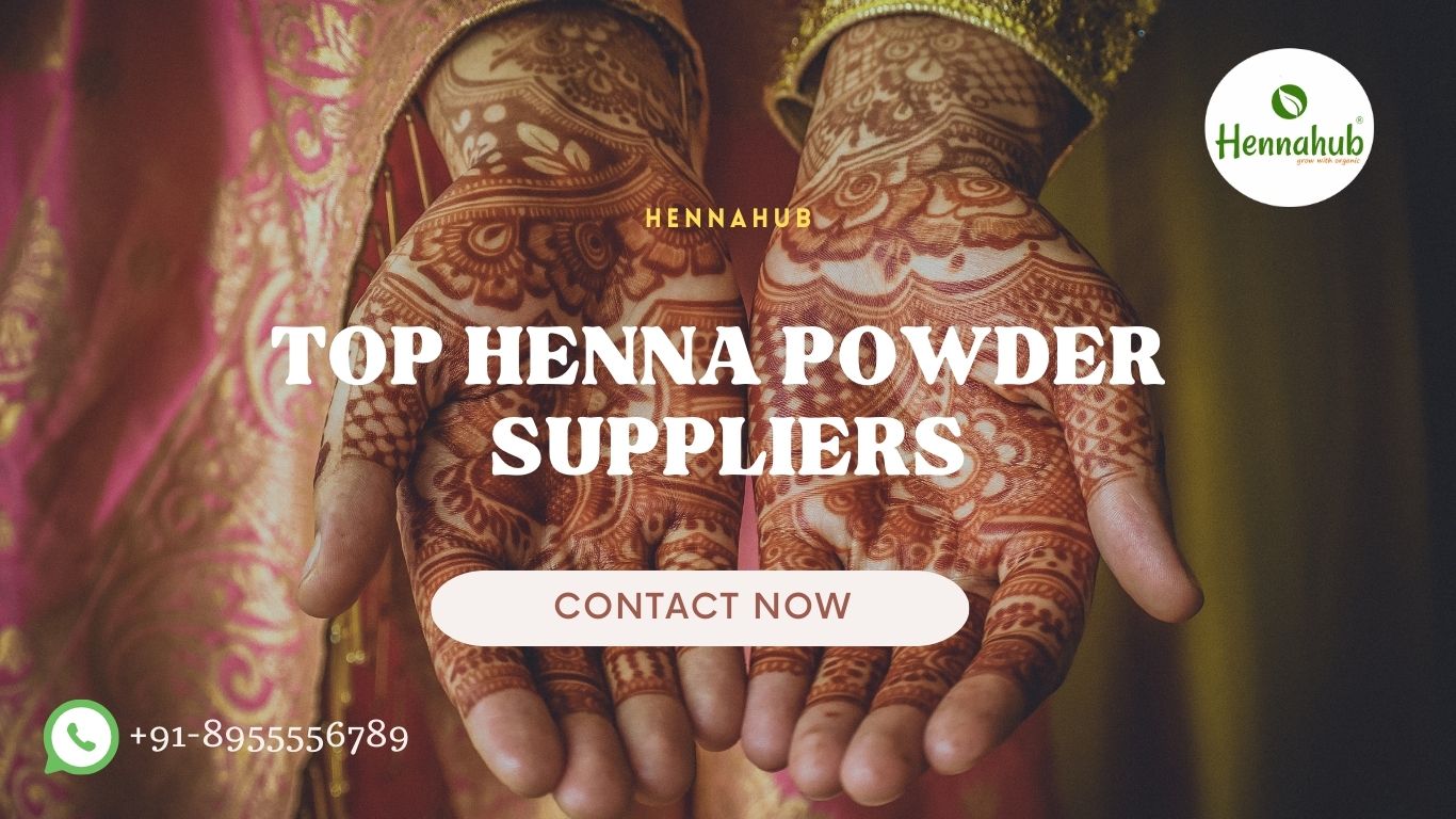 best henna powder brand hennahub 2 top henna powder brand Hennahub India