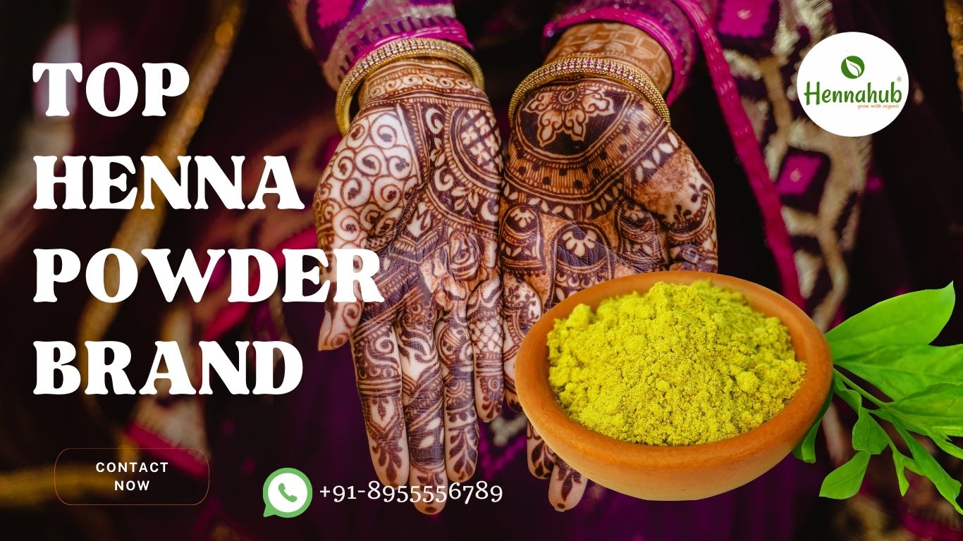 best henna powder brand hennahub 3 top henna powder brand Hennahub India