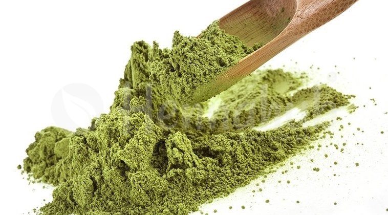 Exporting Quality Henna Powder from India to Belgium