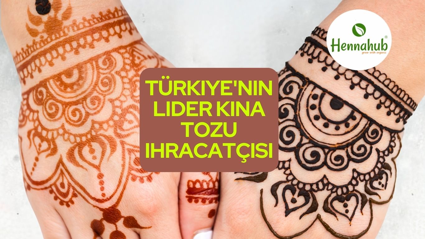 henna powder suppliers in turkey high-quality henna products Hennahub India
