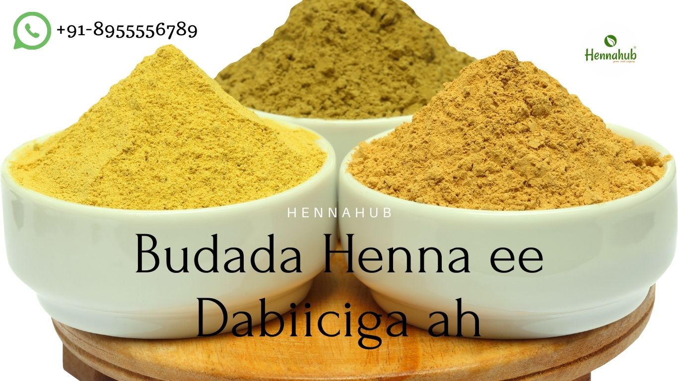 pure henna powder B2B marketplace in somalia Hennahub India