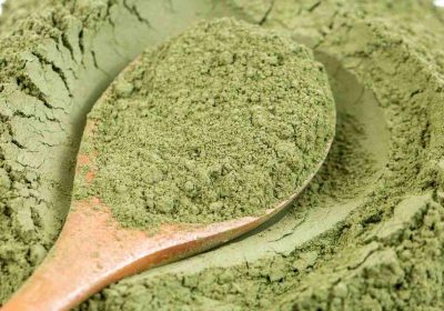 top neutral henna powder suppliers in Azerbaijan – Cassia Obovata Hennahub India