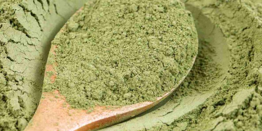 top neutral henna powder suppliers in Chile – Cassia Obovata Hennahub India