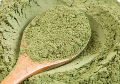 top neutral henna powder suppliers in Congo – Cassia Obovata Hennahub India