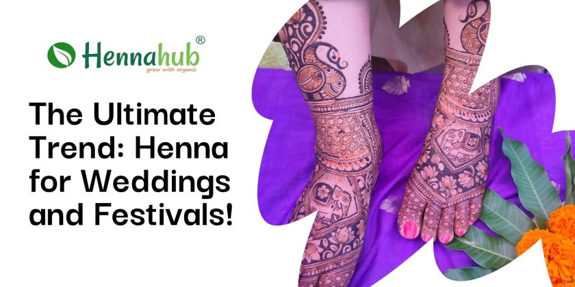 Henna for Events: Weddings, Festivals, and Celebrations – The Ultimate Trend