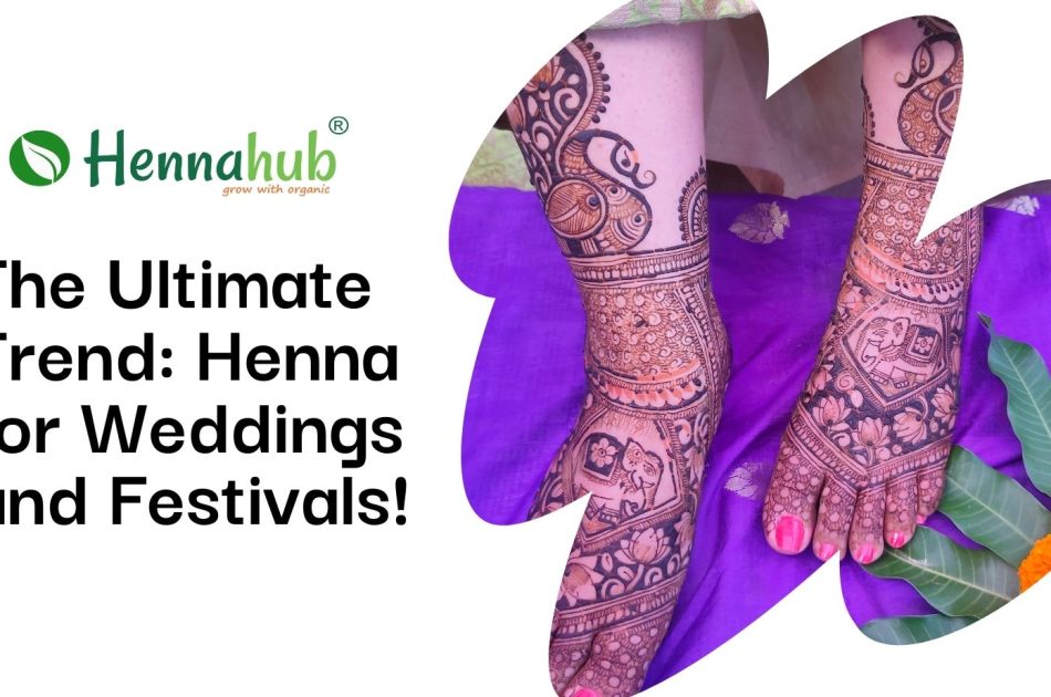 HENNAHUB INDIA Blog Hennahub India