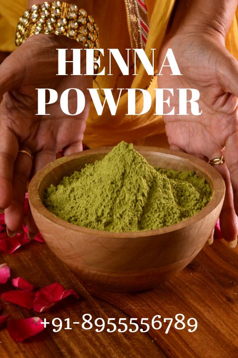 LOOKING FOR best mehndi powder shop IN RAJASTHAN