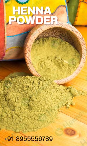 Best Natural henna powder wholesaler near me in India