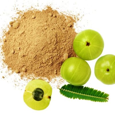 Top Amla Powder Manufacturer in Vellore