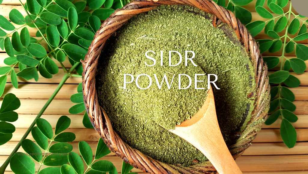 Sidr Powder in Ayurveda: Traditional Wisdom Meets Modern Wellness Trends