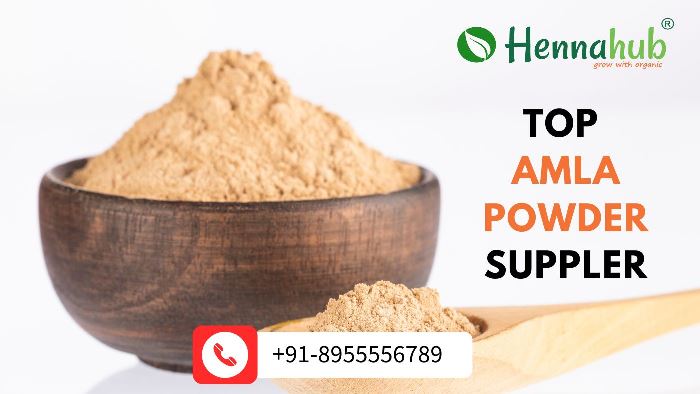 leading Amla Powder Manufacturer in Anand