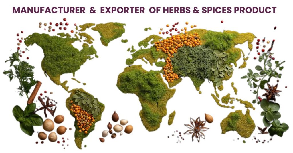 HennaHub India: Global Exporter of Premium Spices, Herbs, and Medicinal Plants