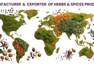 HennaHub India: Global Exporter of Premium Spices, Herbs, and Medicinal Plants