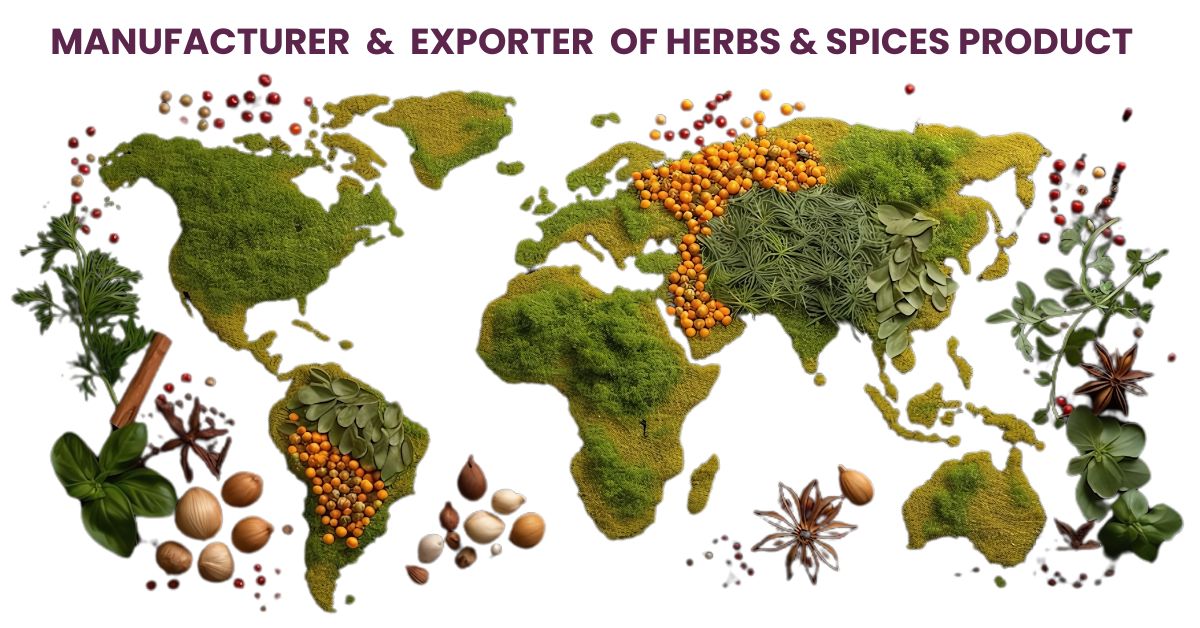 HennaHub India: Global Exporter of Premium Spices, Herbs, and Medicinal Plants