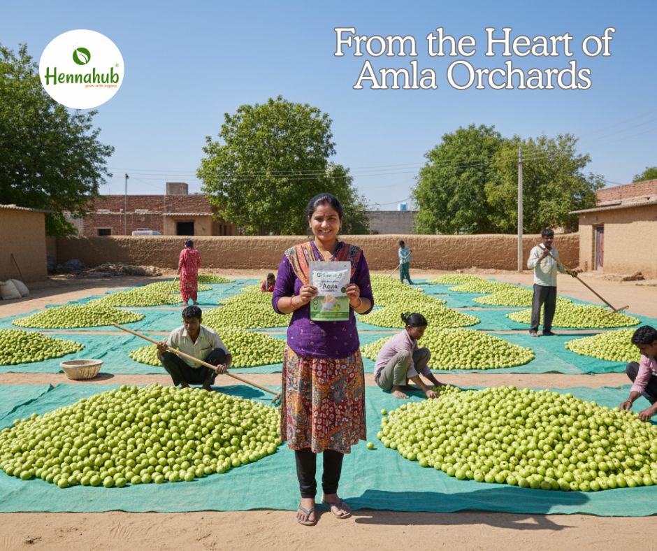 Hennahub Amla Powder – From Farm to Factory