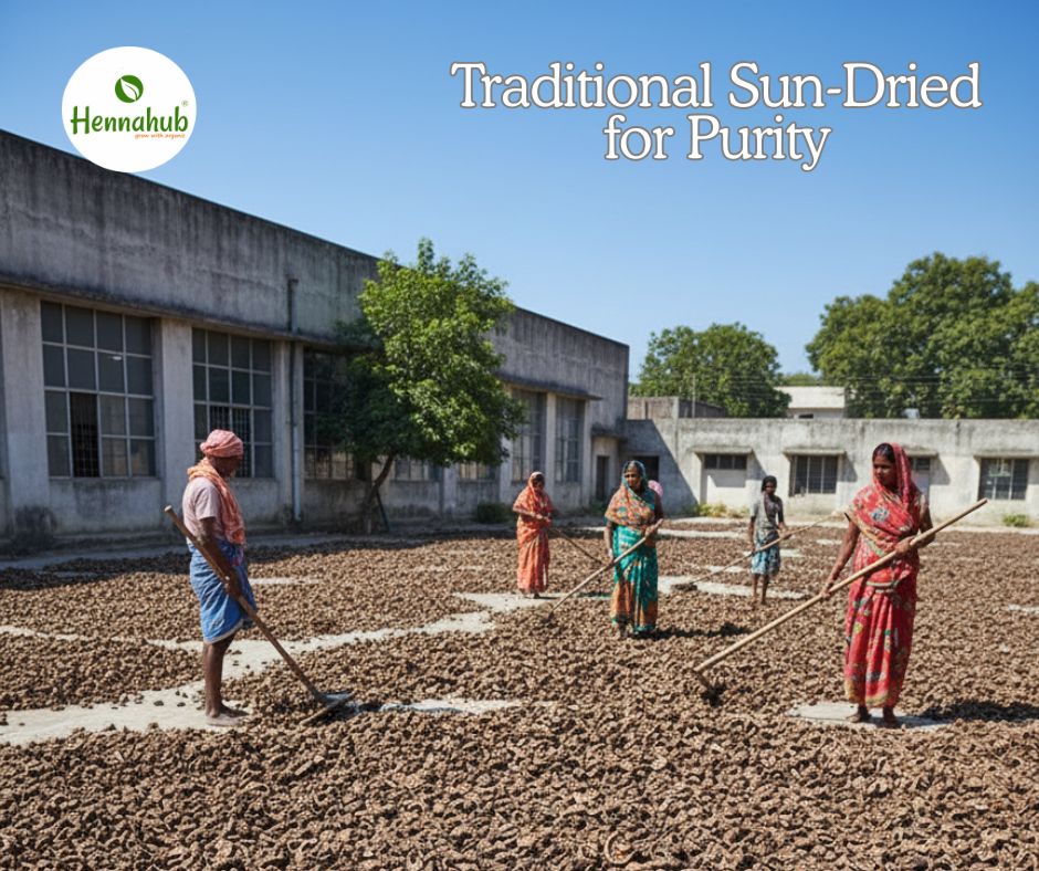 Sun-Dried Amla Outside Factory