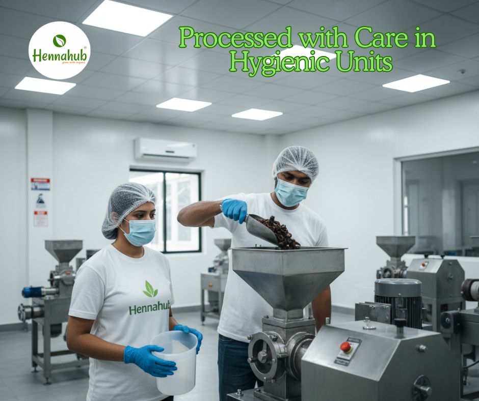 Amla Powder Making Process