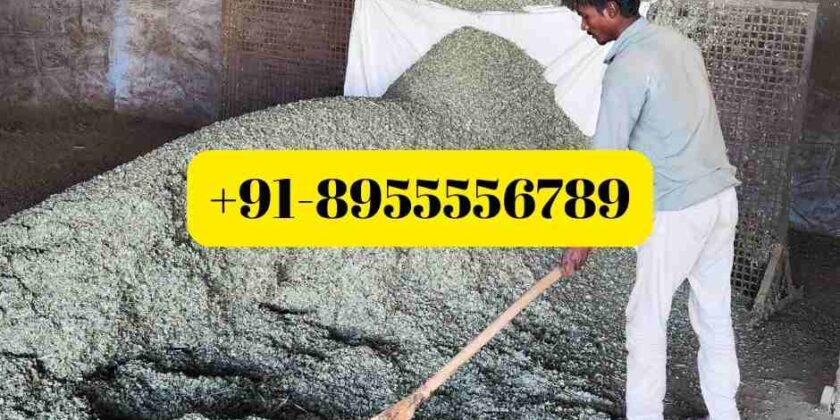 Sidr Powder Suppliers for Saudi Arabia: 2026 Bulk Import Guide