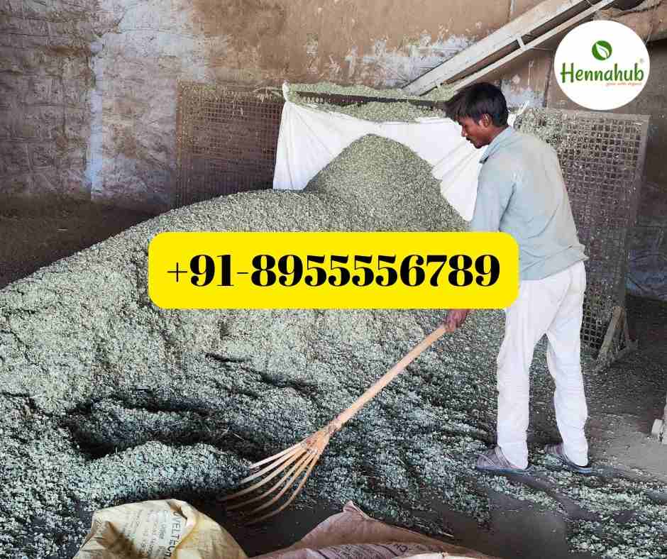 Sidr Powder Suppliers for Saudi Arabia: 2026 Bulk Import Guide