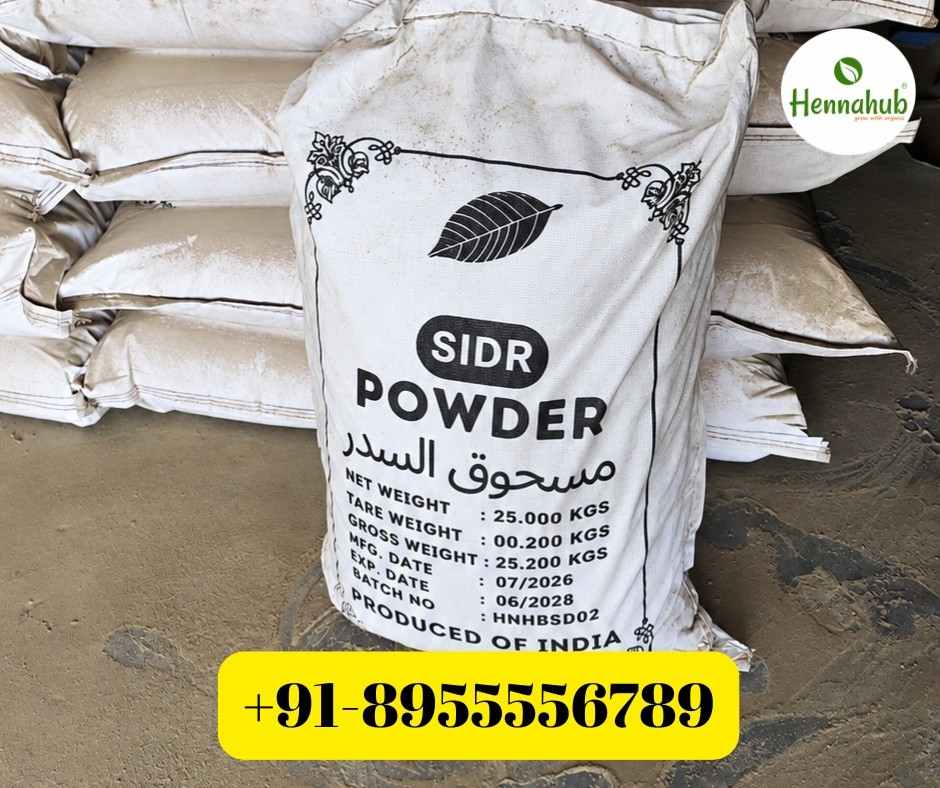 Bulk Sidr powder in 25 kg PP bags for export from India to Saudi Arabia